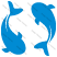 icon--fish-sharks-converse-blue